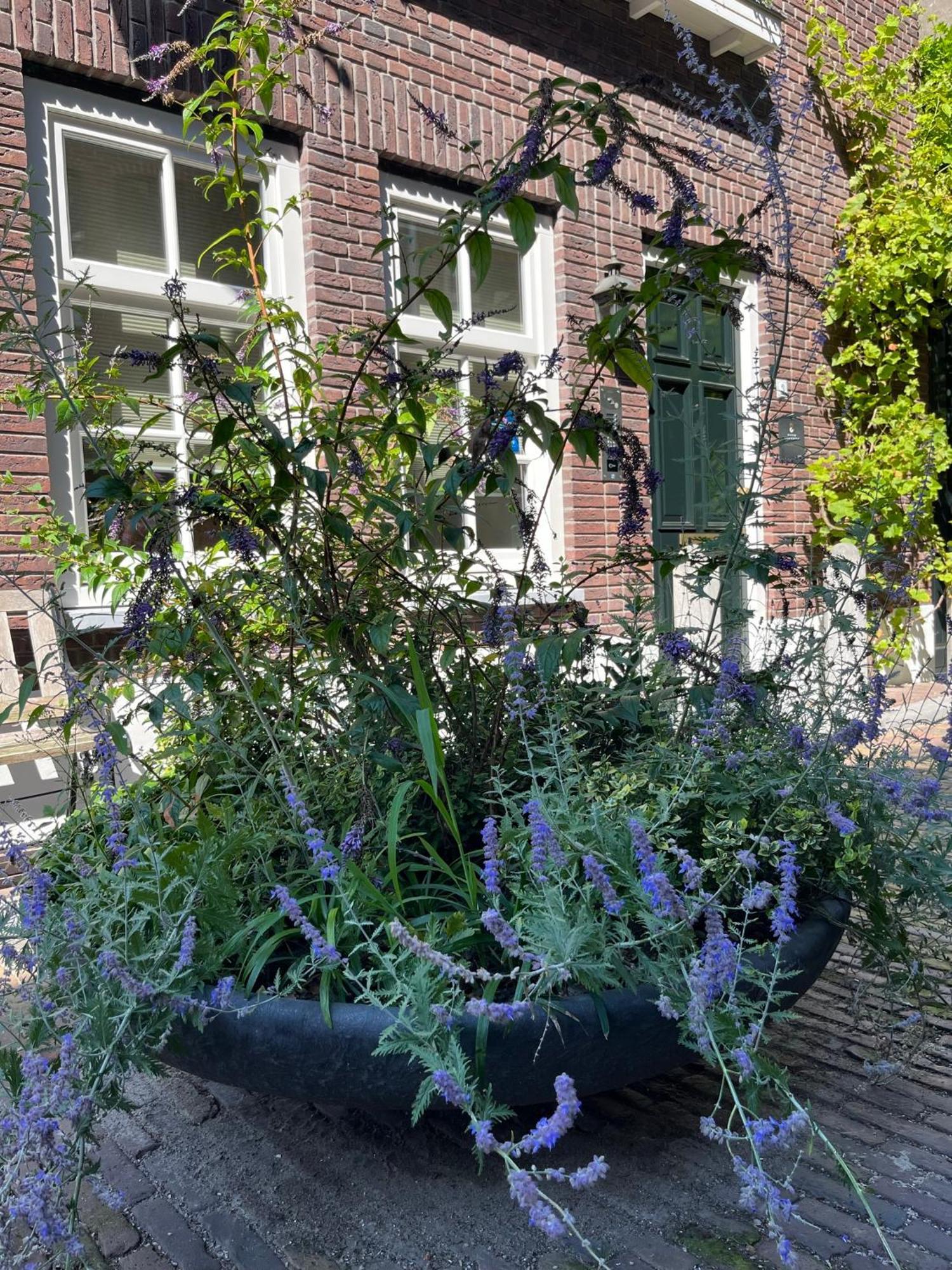 Boutique Hotel Nieuw Uilenburg 登博斯 外观 照片